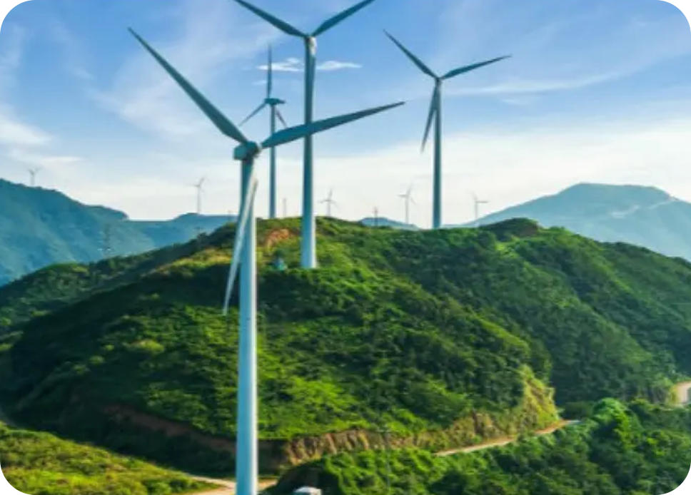 wind farm